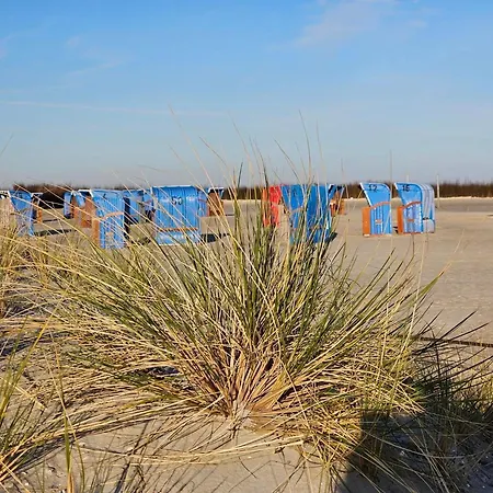 Steenhuus 펜션 마리엔해프