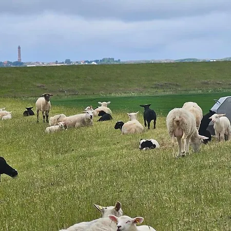 펜션 Steenhuus 마리엔해프