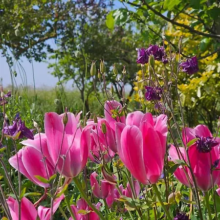 펜션 Steenhuus 마리엔해프